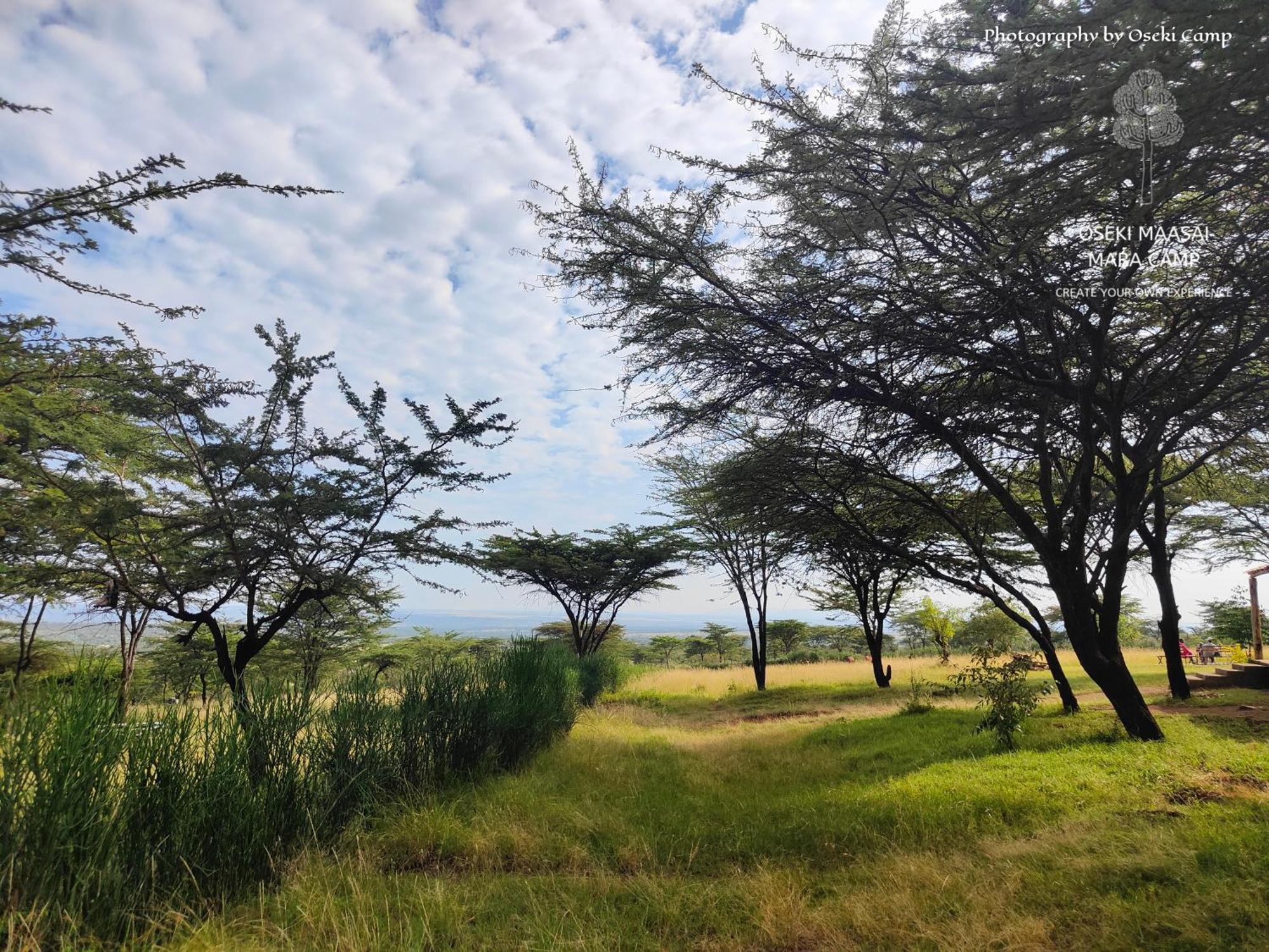 Hotel Oseki Maasai Mara Camp à Narok Extérieur photo